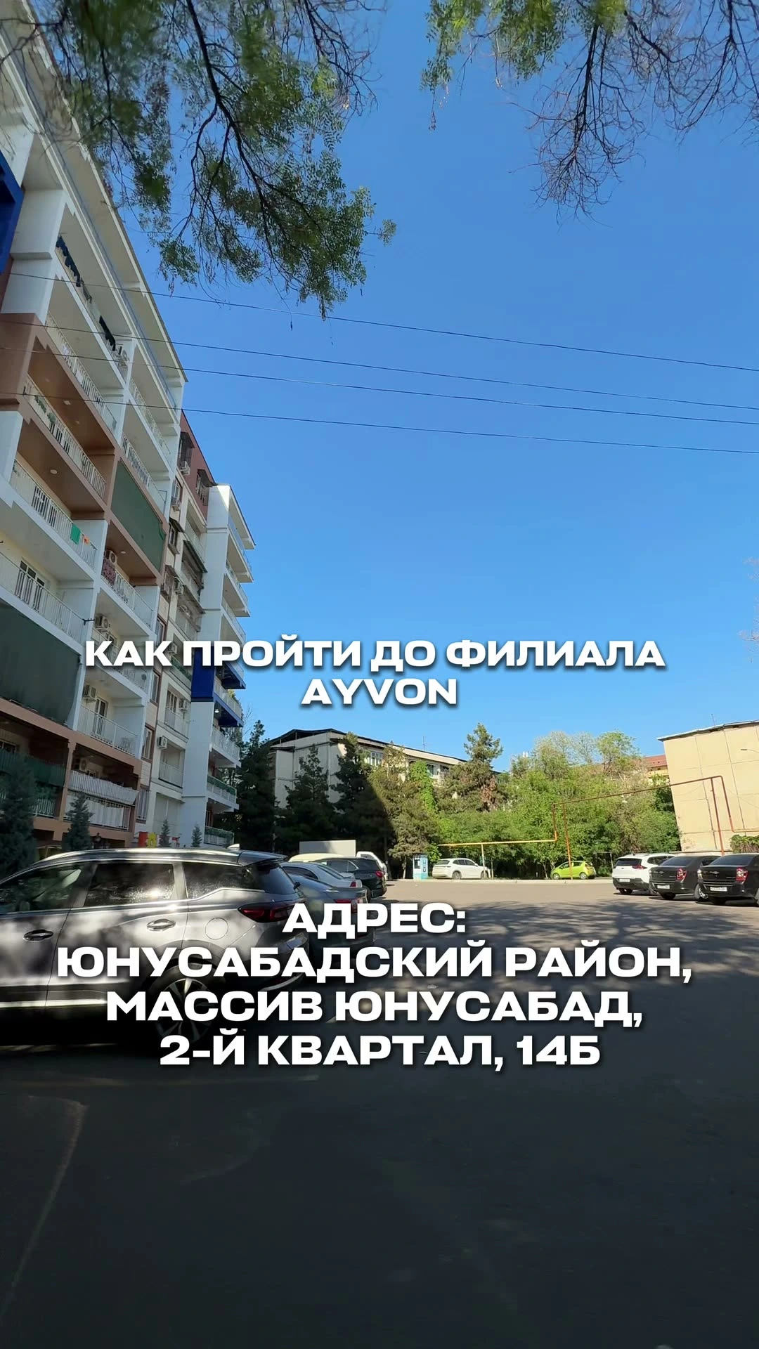 35` Health club, тренажерный зал