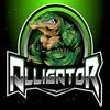Alligator