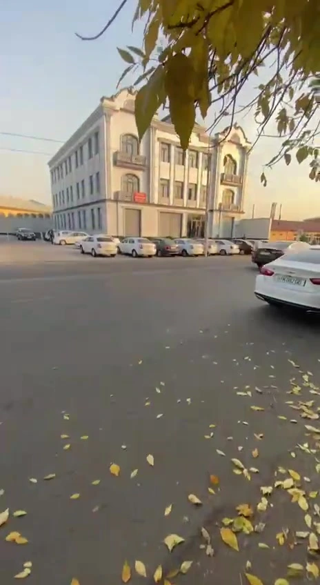 Arabic academy, учебный центр