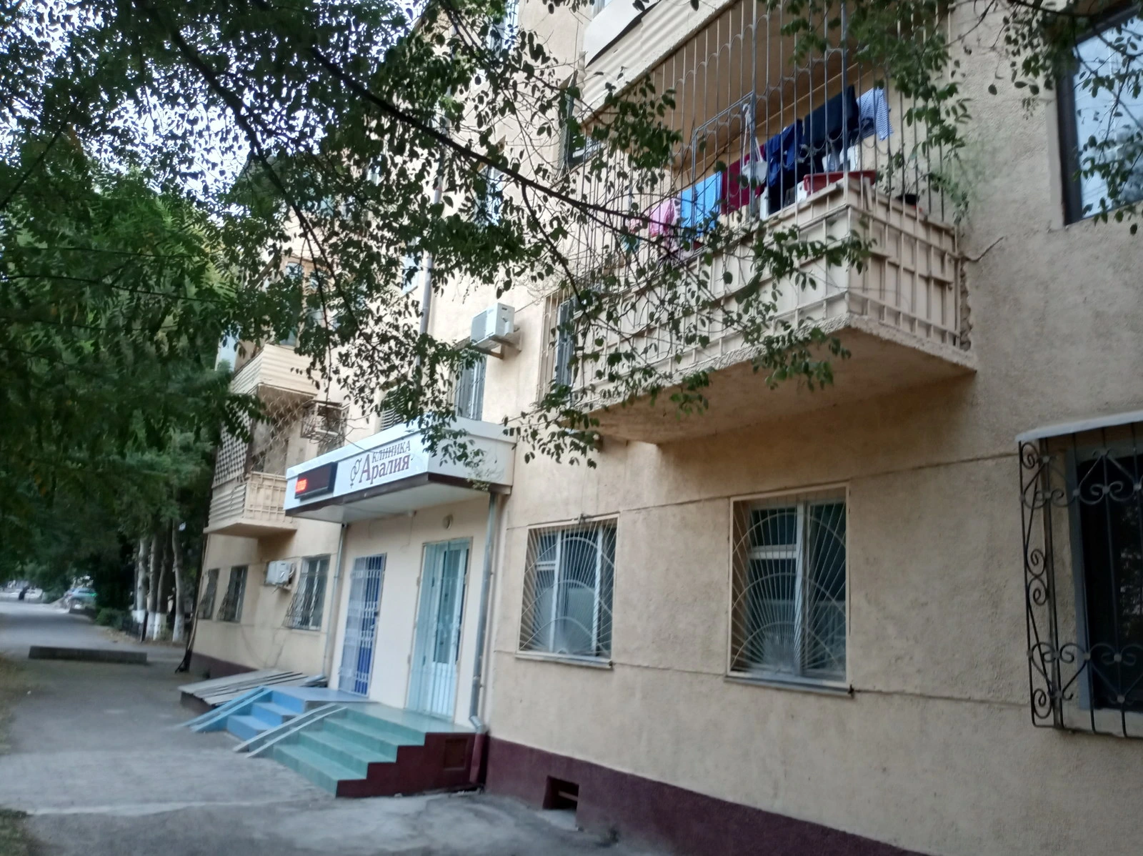 Аралия, клиника