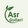 Asr gullari, ​cадовый центр