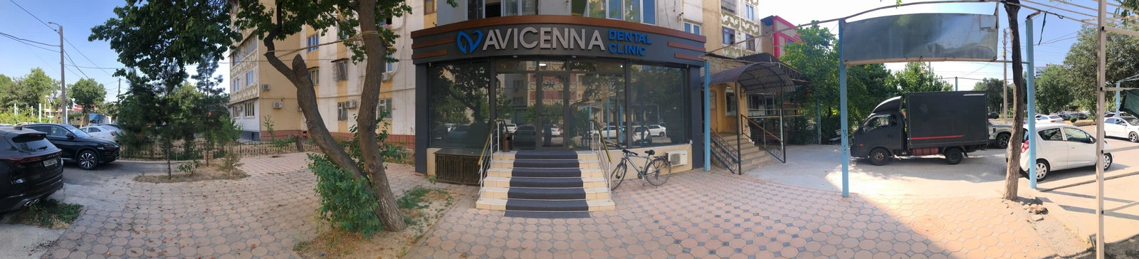 Avicenna family