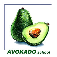 Avokado