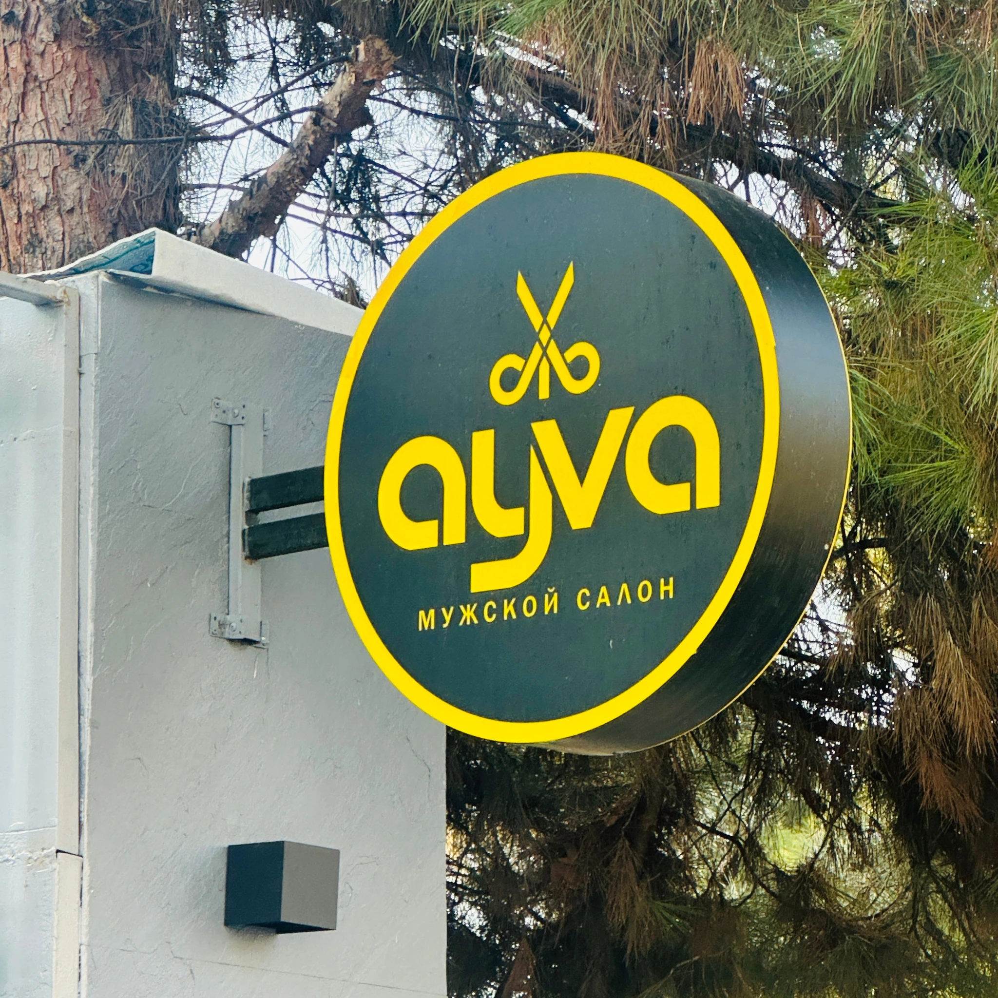 Ayva, парикмахерская