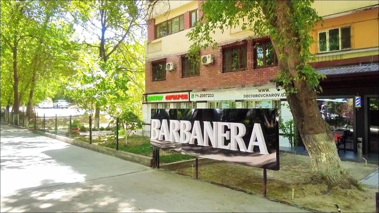 Barbanera