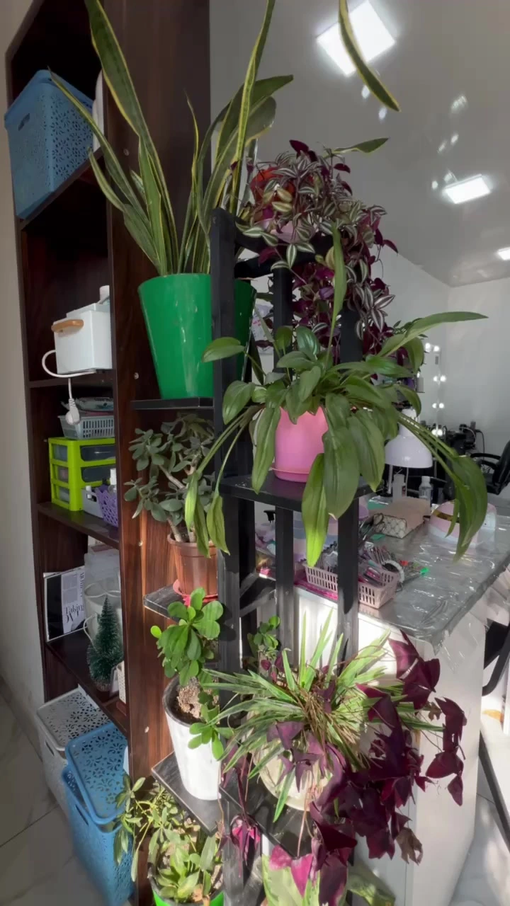 Beauty house, салон красоты