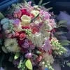 Beauty S