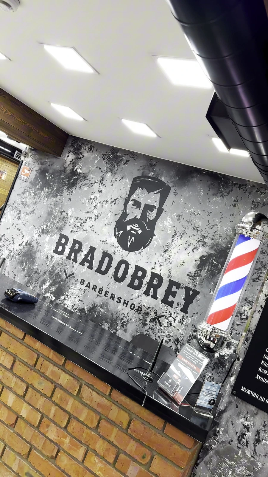 Bradobrey