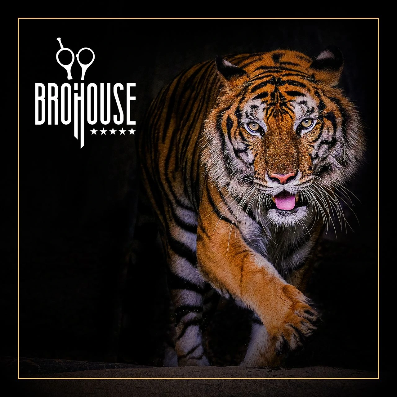 Brohouseuz