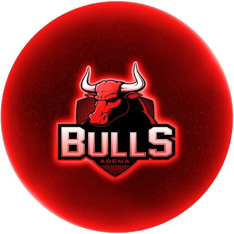 Bulls arena