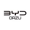 BYD Orzu service