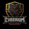 Cyberium, киберспортивный клуб