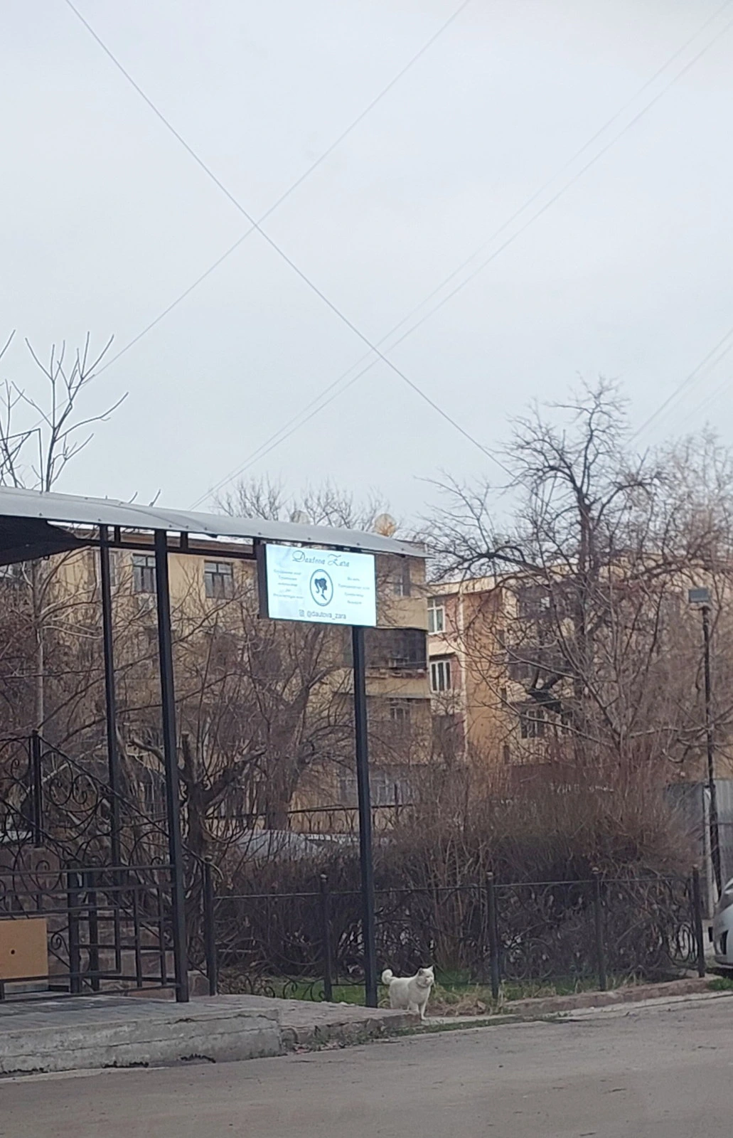 Dautova Zara, парикмахерская