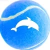 Delfin travel