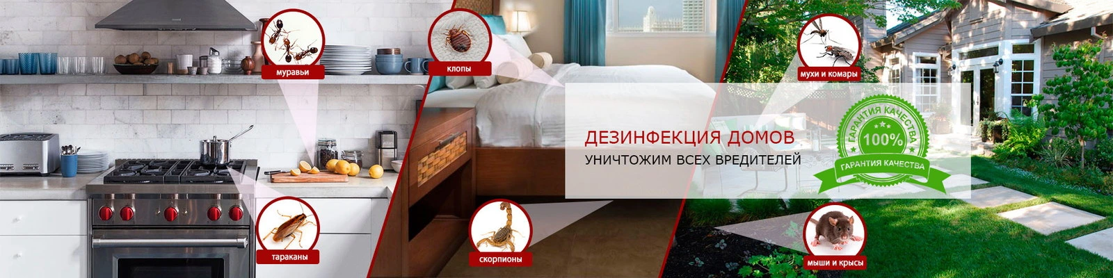 Dez Sevice, компания