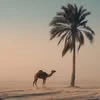 Dilfuza