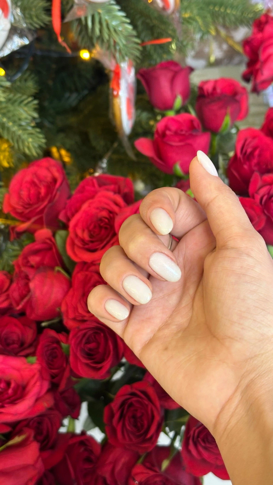 Dream Nails Beauty
