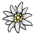 Edelveys