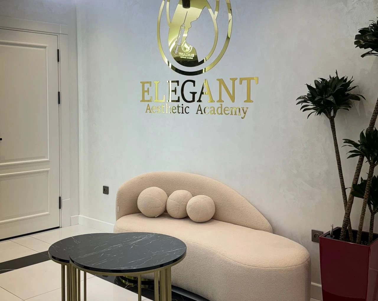 Elegant aesthetic academy, учебный центр