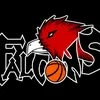 Falcons