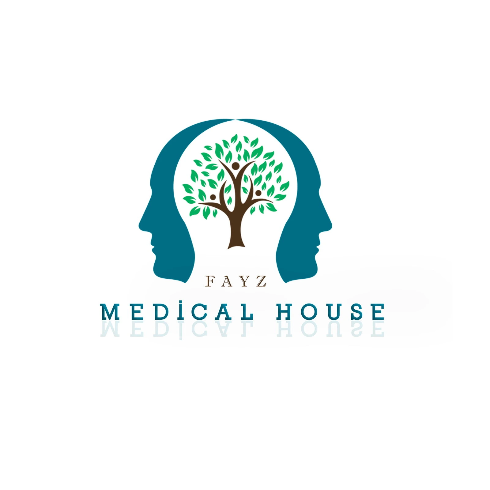 Fayz medical house