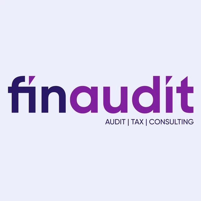 Finaudit consulting, компания