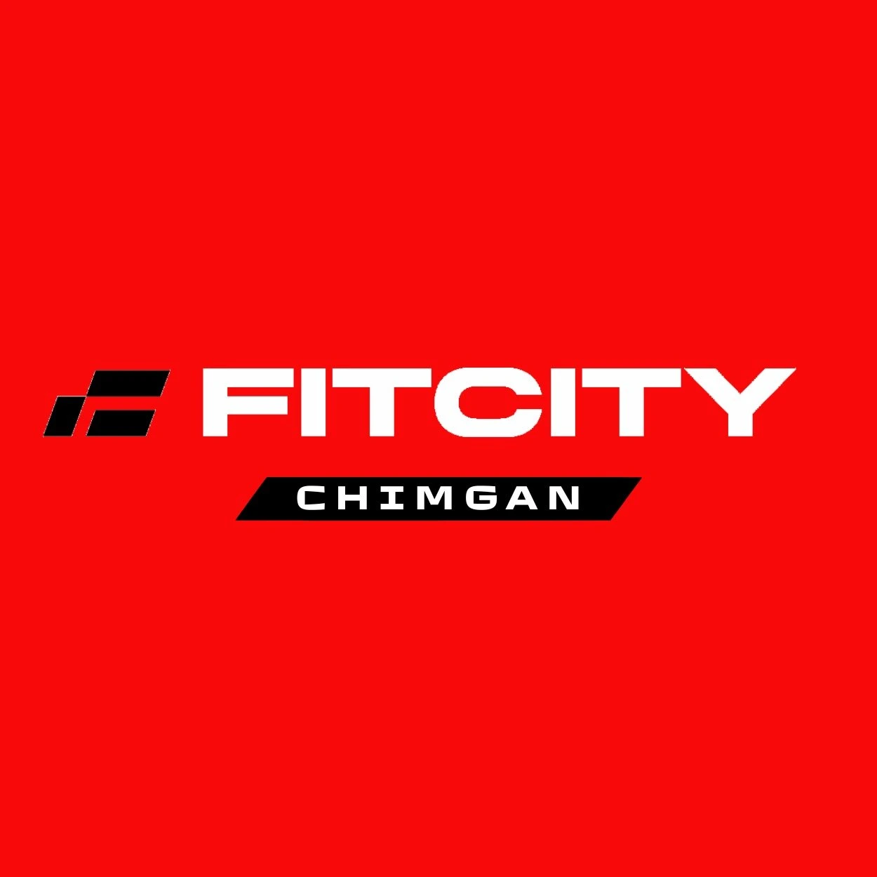 Fitcity