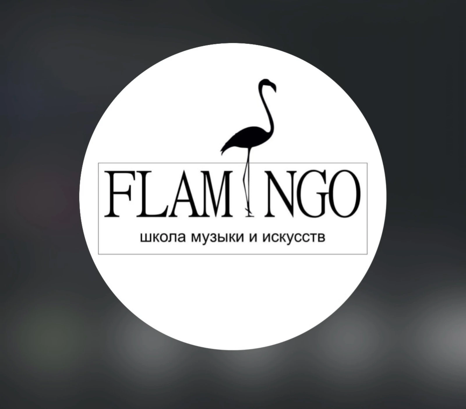 Flamingo Art School