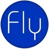 Fly cinema, компания