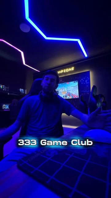 Game Zone 333