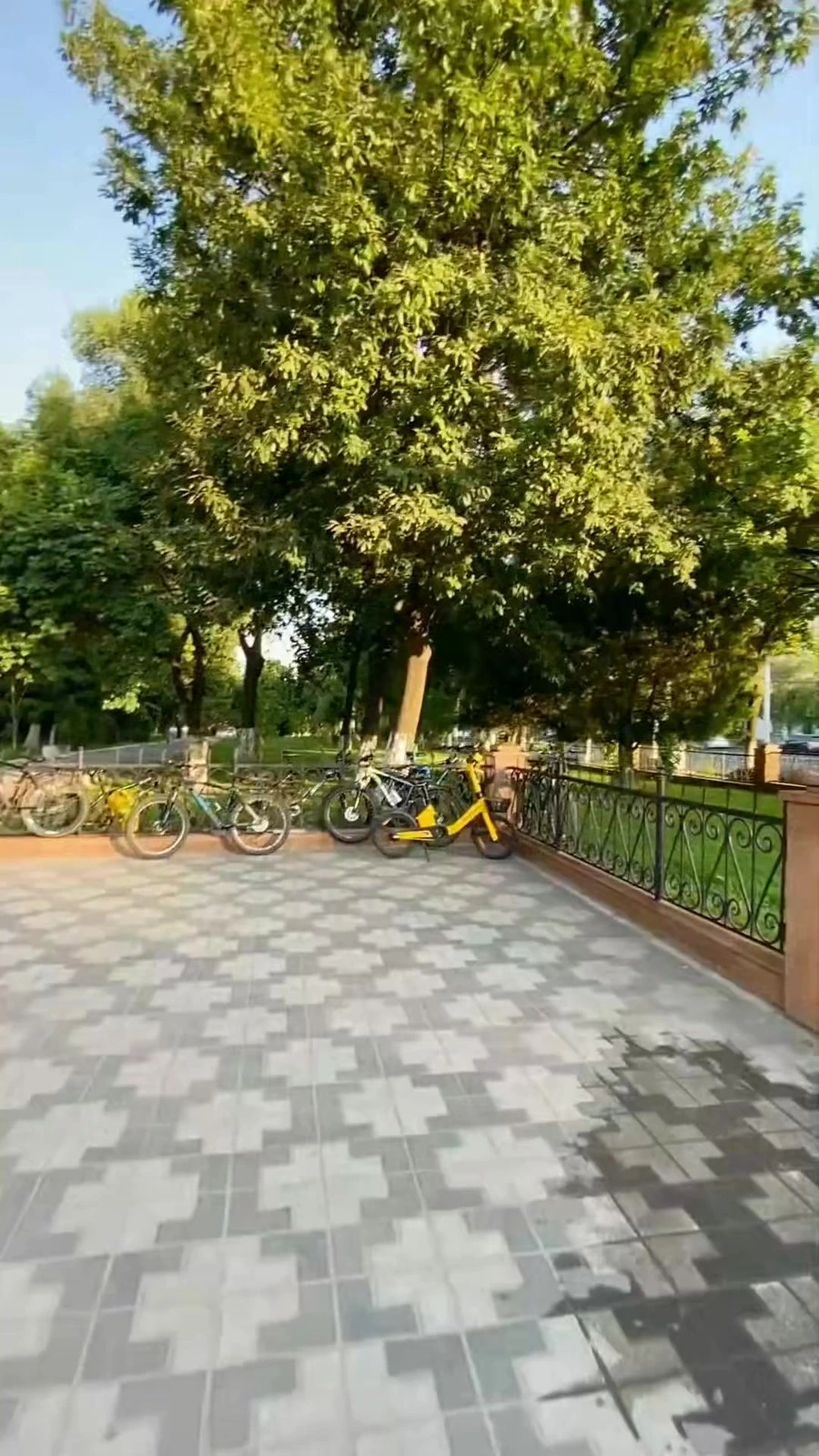 Germaniya_Live, учебный центр