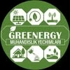 Green energy, компания