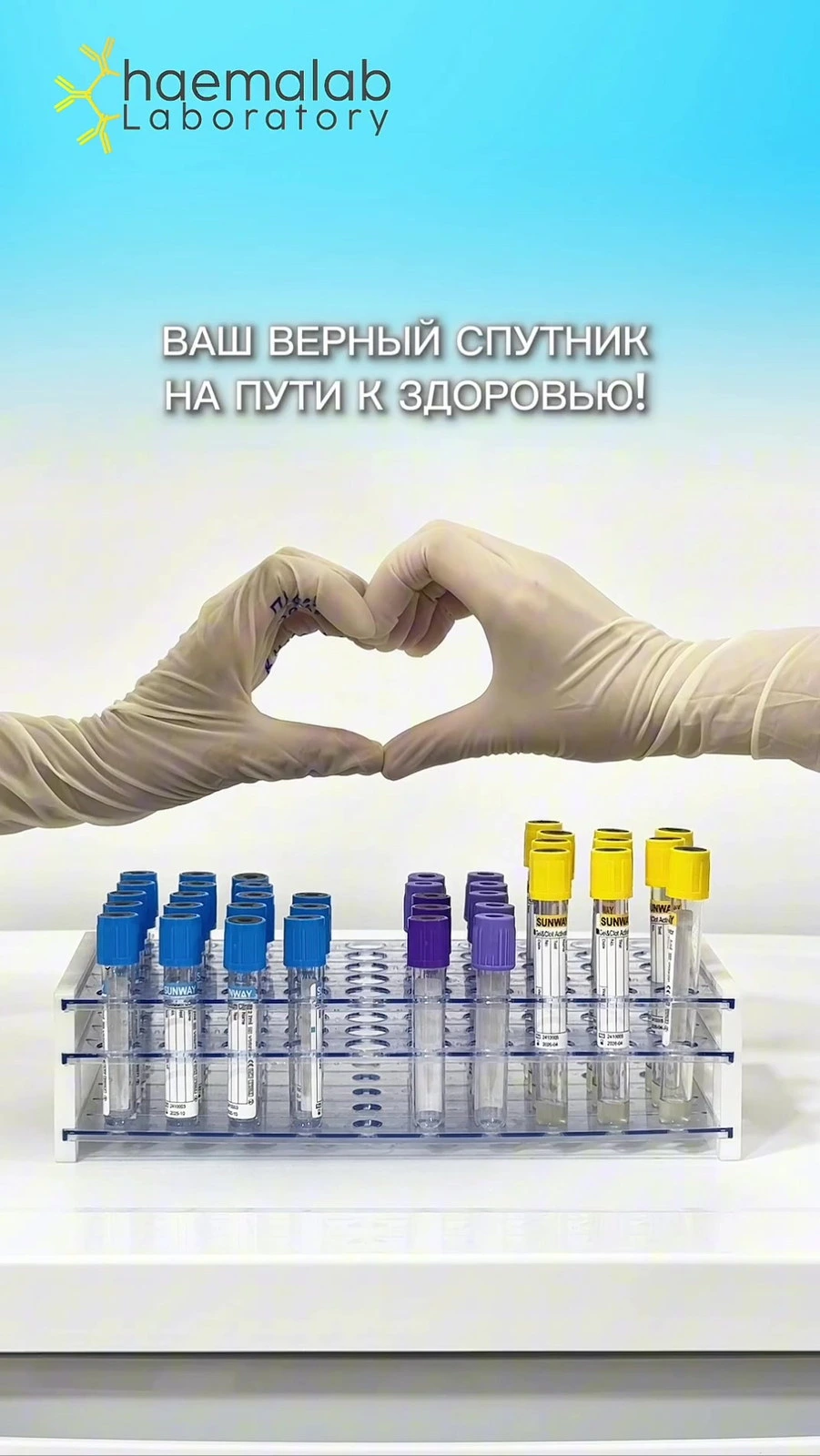 Haemalab, станция переливания крови