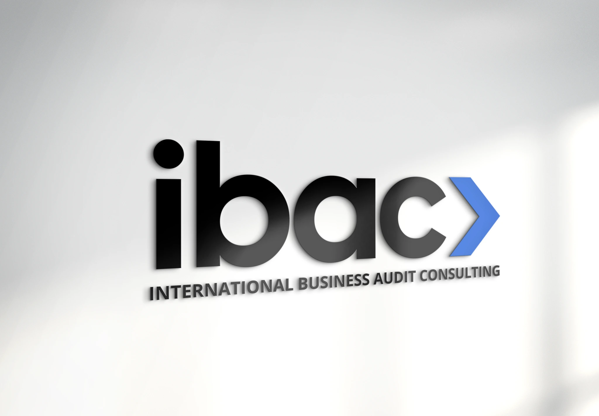 ibac, аудиторская компания