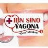 Ibn Sino Yagona