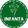 Infanta