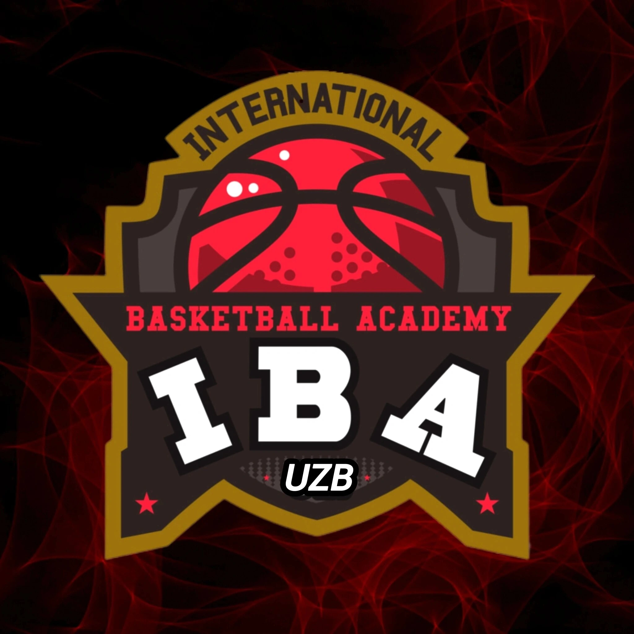 International Basketball Academy