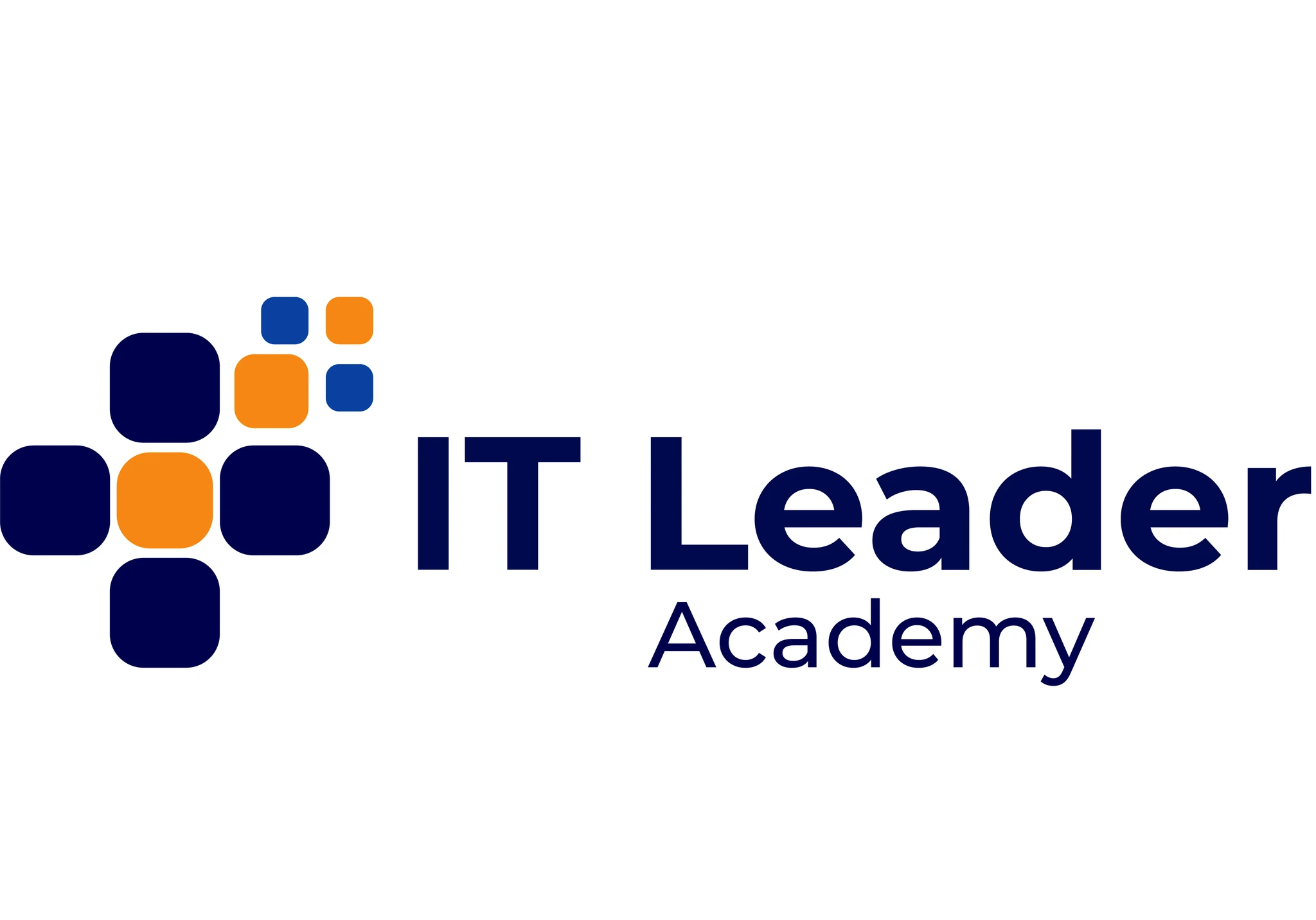 IT Leader academy