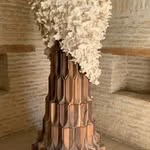 Iymon, центр развития и социальной адаптации человека с синдромом Дауна