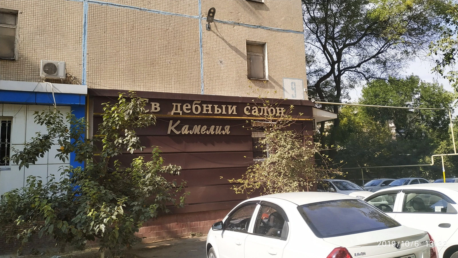 Kameliya