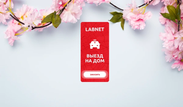 Labnet