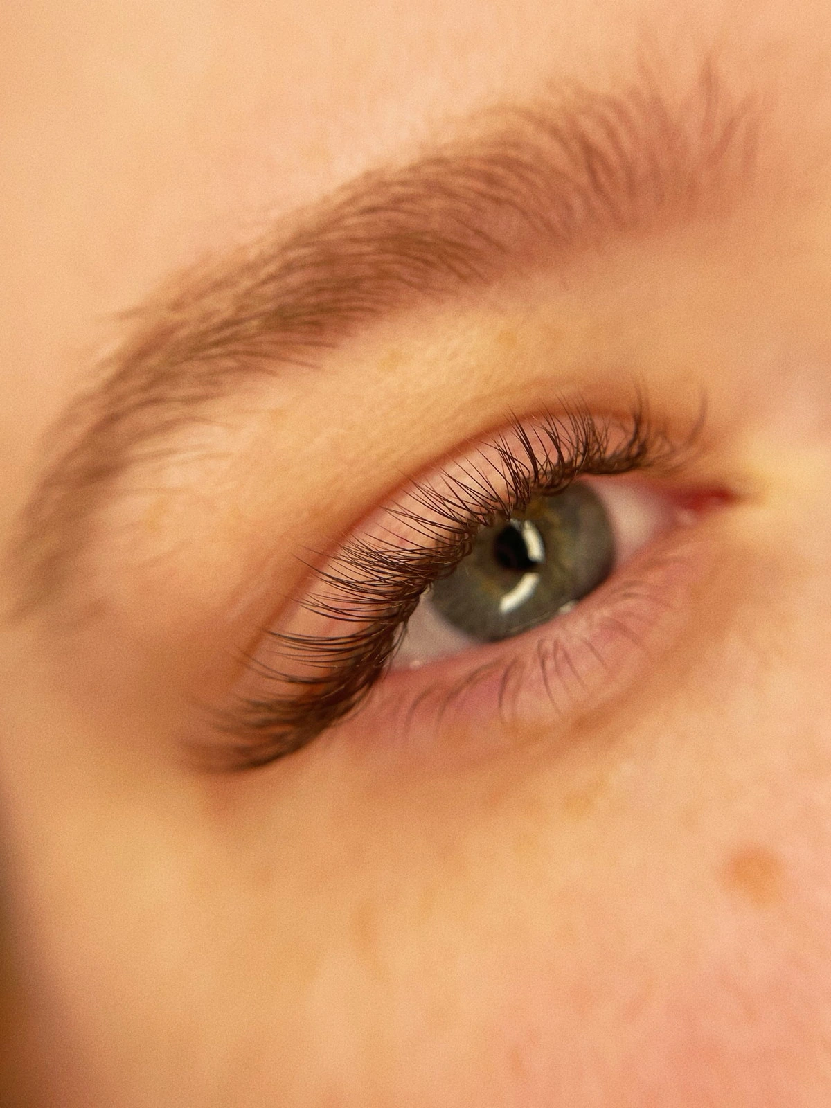 Lash blossom