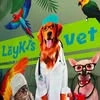 Laykisvet