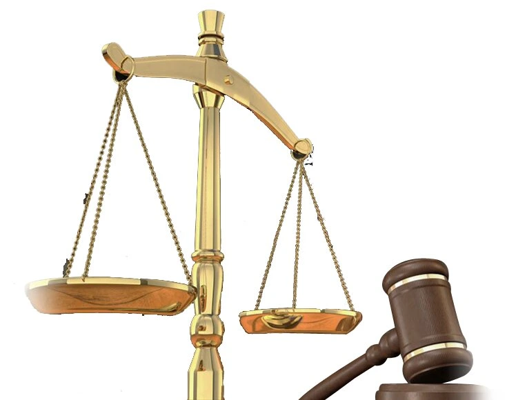Legal Support Team