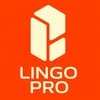 Lingo pro, учебный центр
