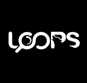 Loops Group, бухгалтерия