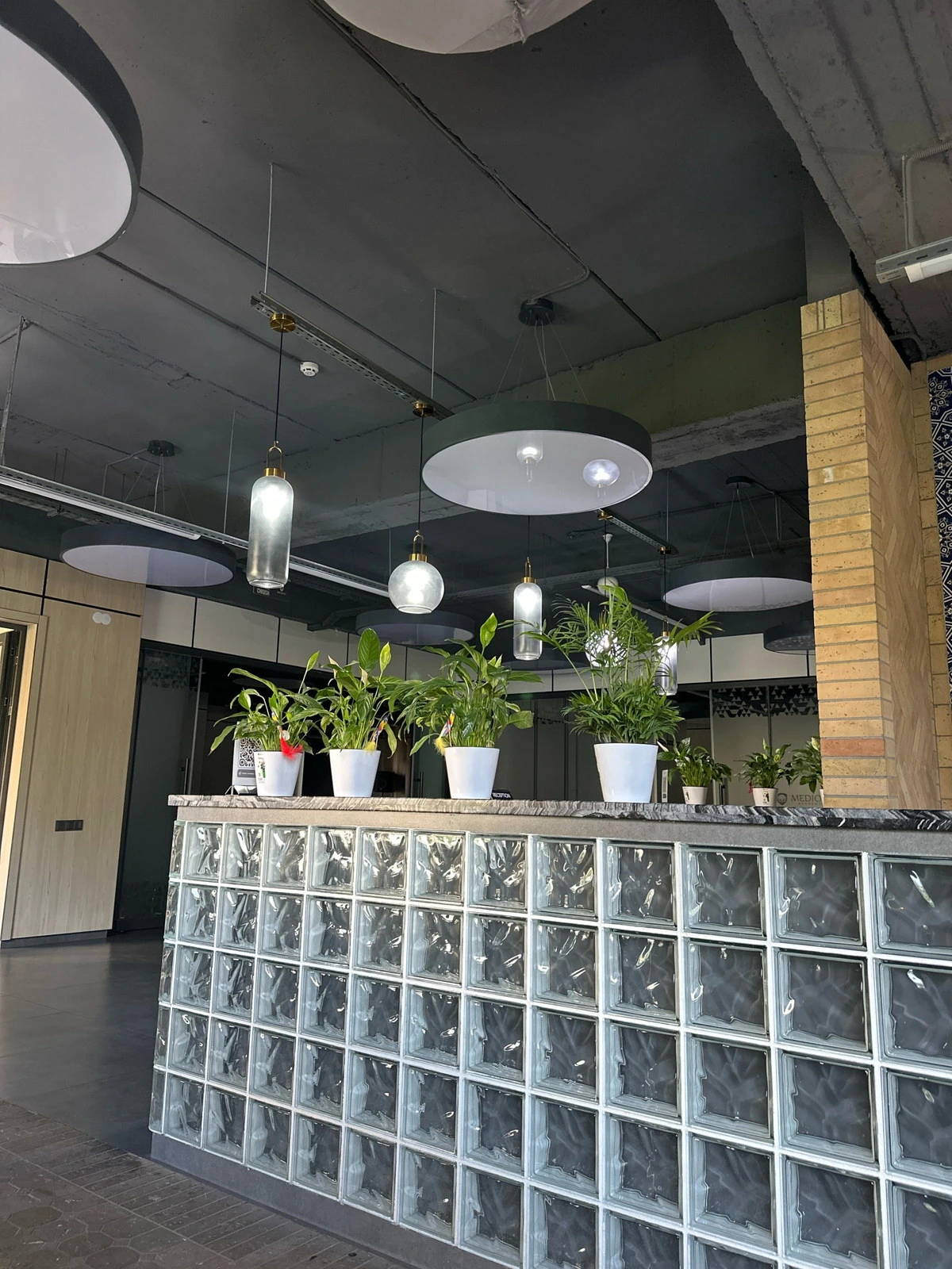 Medion academy, компания