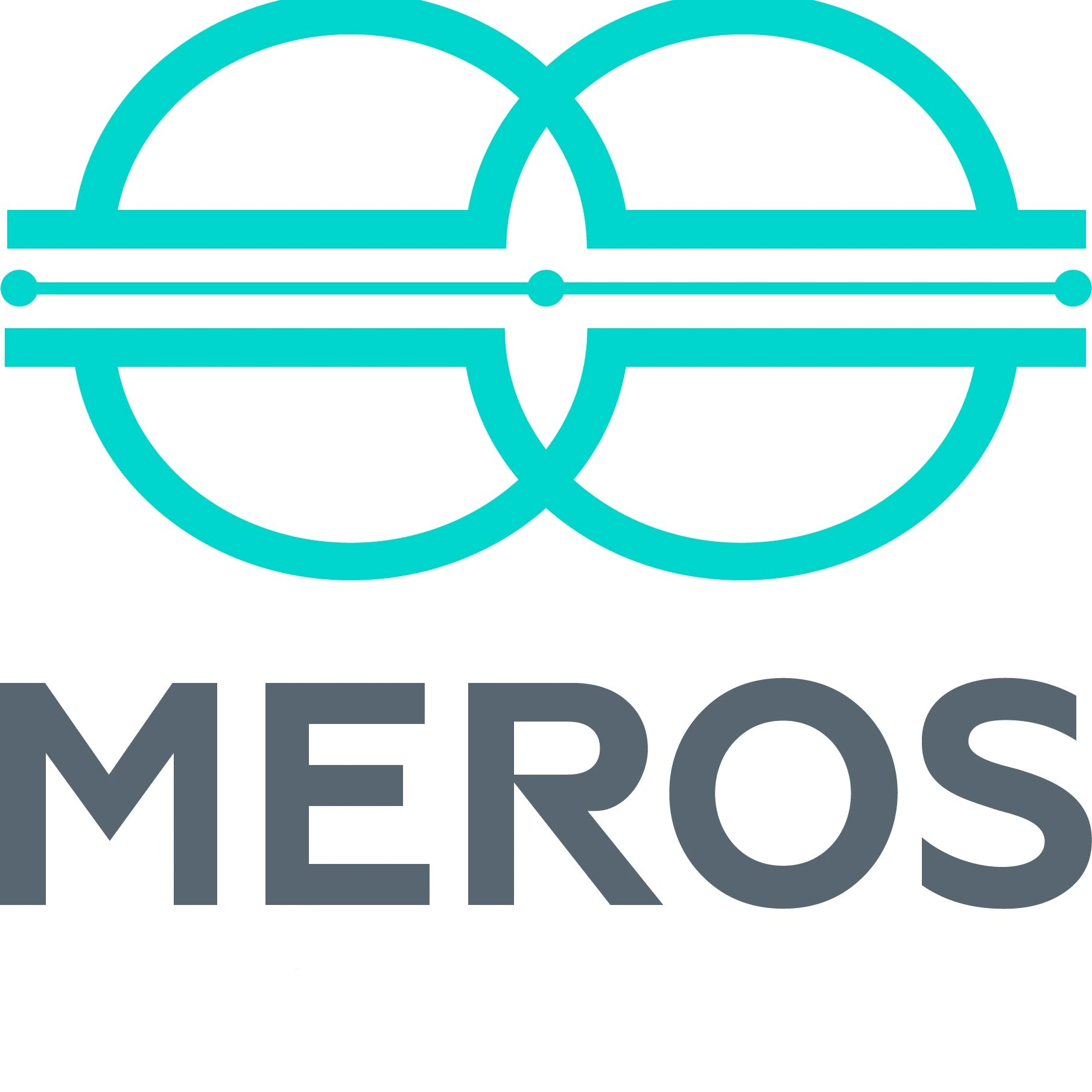 Meros International