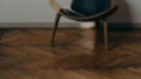 Minerva group, компания