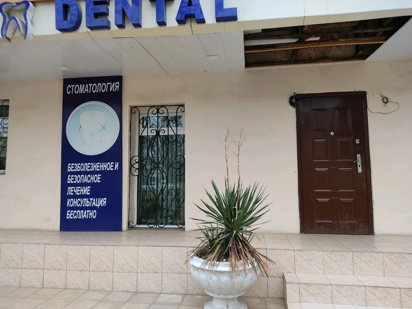 Mir Dental Plus